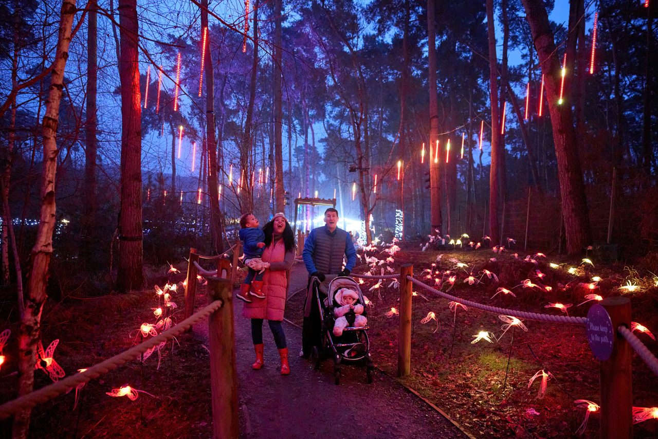 A family in the forest surrounded by fairy lights