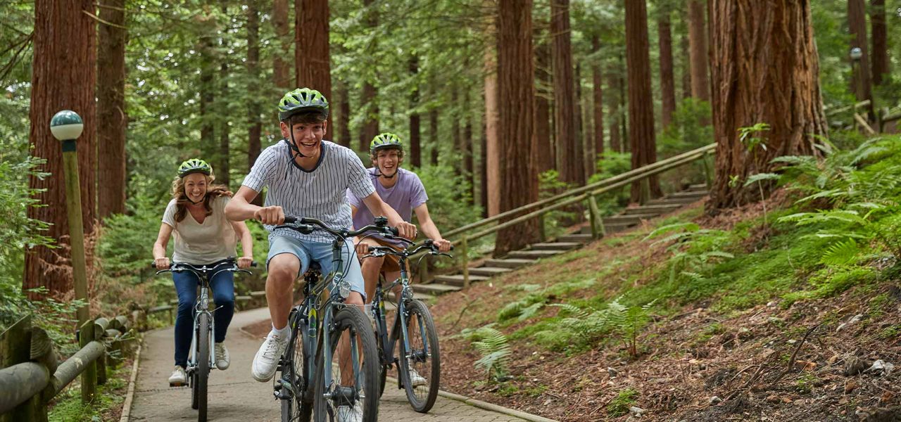 A family cycling through the forest