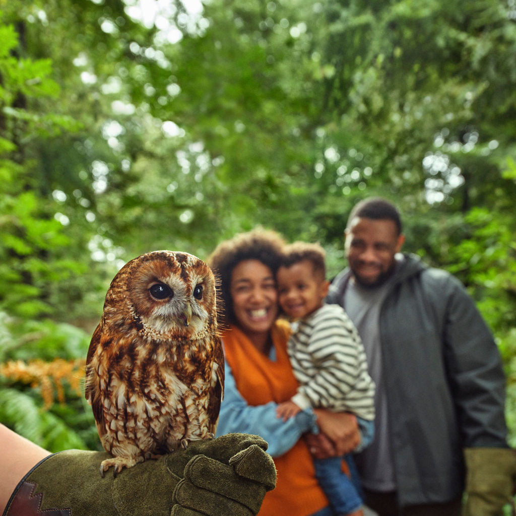 A family swimming in the indoor pool with their toddler.