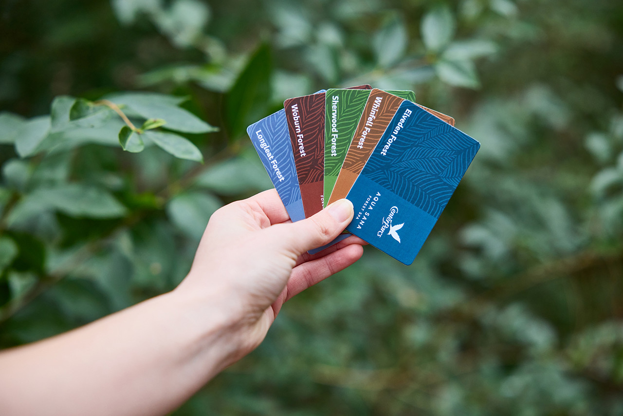 Six Center Parcs gift cards.