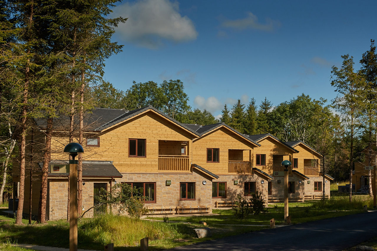 Forest Lodges nestled in the forest.