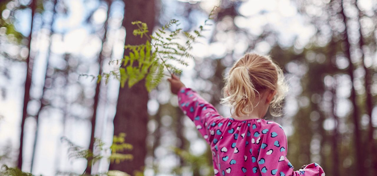 Child with blonde ponytail reaches up to touch a fern frond, wearing a pink heart-patterned shirt, standing amid tall pine trees in a sunlit forest.