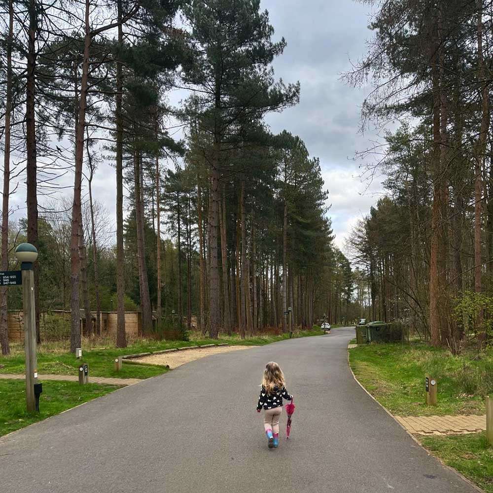 Child walks down a paved road, carrying a small umbrella; tall pine trees line both sides under a cloudy sky, with cabins, bins, and parked cars in the distance.