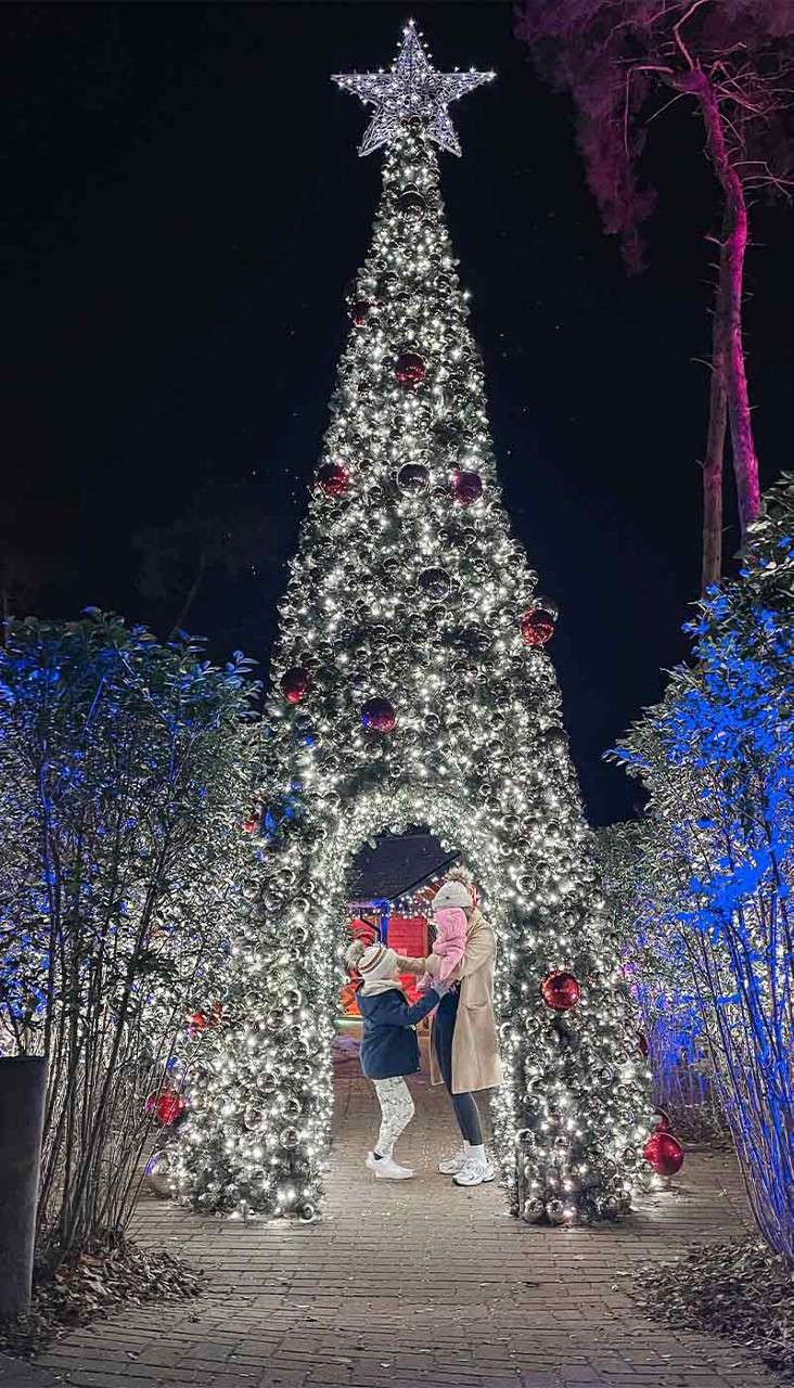 A towering, star-topped Christmas tree arch glows with white lights and red ornaments, framing two bundled people holding hands on a brick path, surrounded by illuminated shrubs at night.