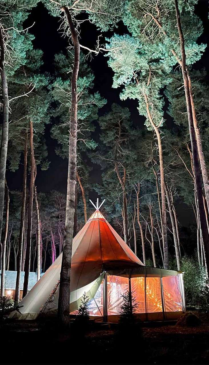 Large teepee-style tent glows warm orange, its clear walls revealing light; set among tall pine trees at night, with softly lit forest and a nearby cabin silhouetted against the dark sky.