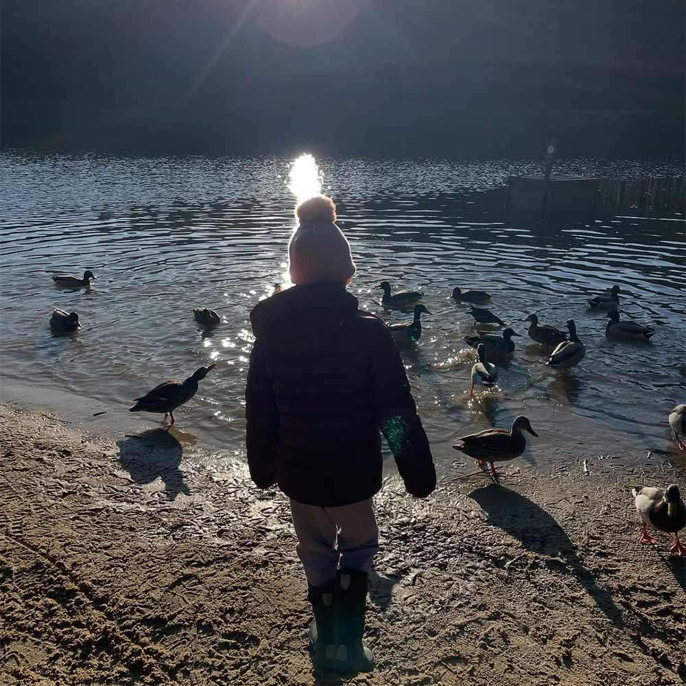 Child stands facing ducks, watching them swim and wade near a lakeshore, winter hat and boots on, silhouetted against bright sun reflecting on rippled water.