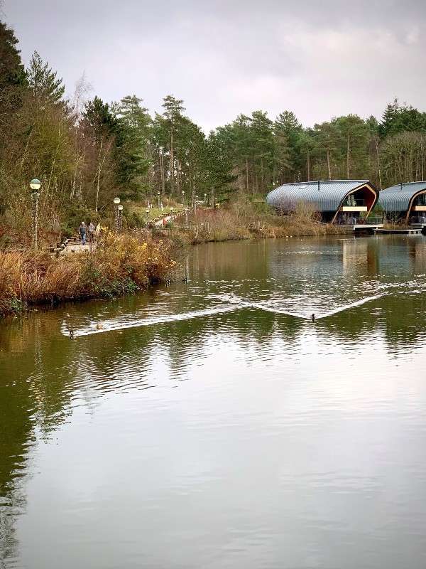Ducks glide across a calm pond, leaving V-shaped ripples; nearby, people walk a path beside reeds, and curved-roof lakeside cabins sit among tall pine trees under an overcast sky.