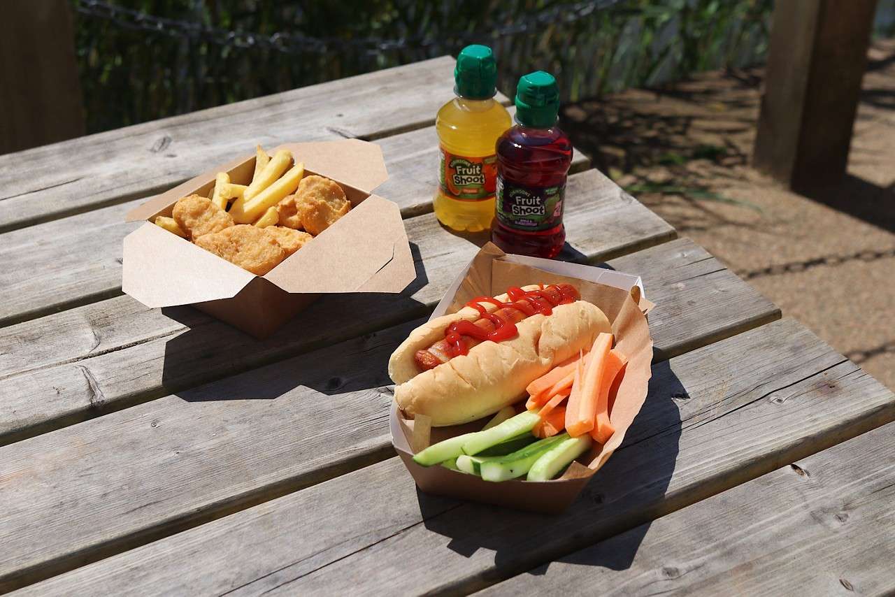 Hot dog with ketchup rests beside carrot and cucumber sticks; chicken nuggets with fries sit nearby; two juice bottles labeled “Fruit Shoot” stand behind on a sunlit outdoor picnic table.