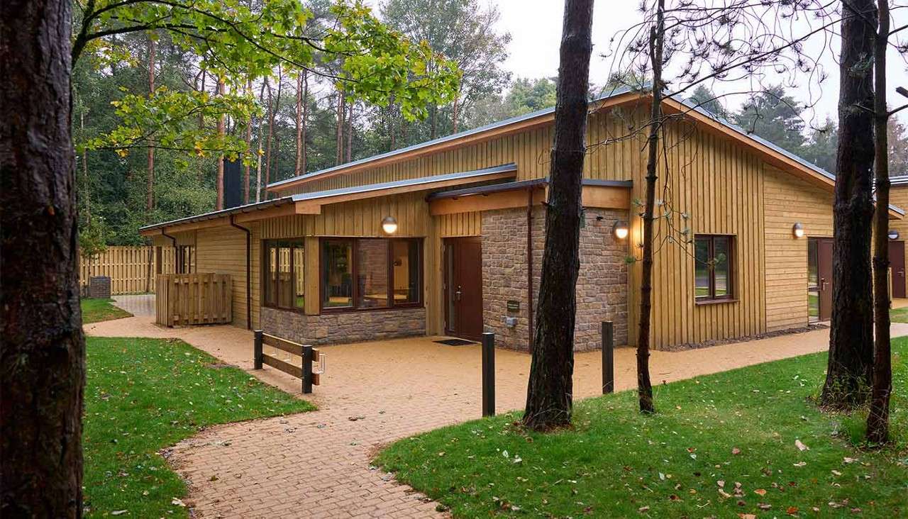 Wooden cabin stands under tall pine trees, lit by wall-mounted lamps, with large windows and stone accents, accessed by winding paved paths and surrounded by grass, fencing, and forest.