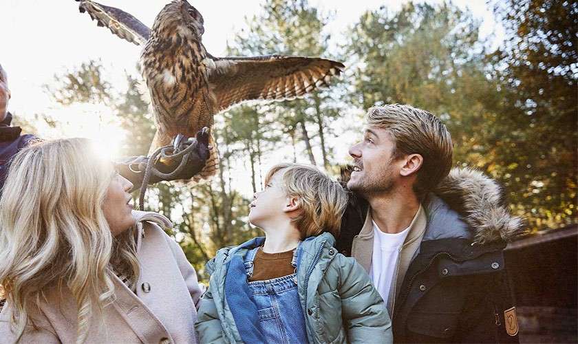 Owl spreads wings while perched on a gloved hand; a woman, child, and man watch closely, smiling, outdoors in a sunlit forest setting.