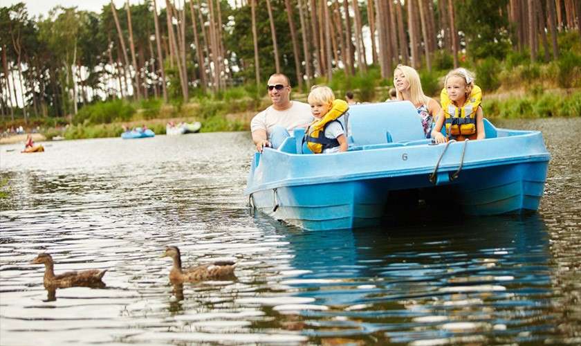 Four people in a blue pedal boat labeled “6” pedal and watch ducks swim ahead, wearing life jackets, on a calm lake with a forested shoreline and distant boaters.