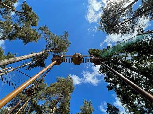Rope-course platforms and a suspended bridge span between tall trees, seen from ground level. Wooden poles, safety netting and cables rise amid pine canopies under a bright blue, cloud-spotted sky.