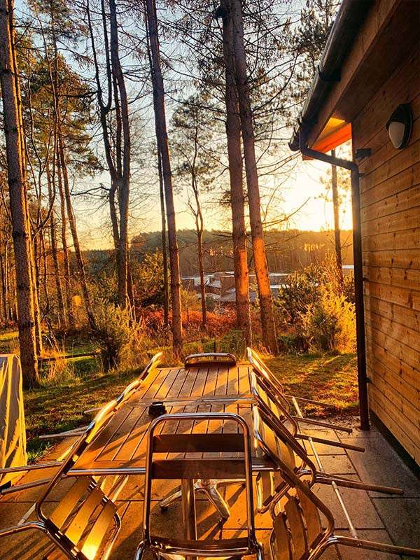 Patio table with metal chairs stacked upside down glints in low sunlight, situated beside a wooden cabin. Sun sets through tall pine trees, casting long shadows across a grassy clearing.
