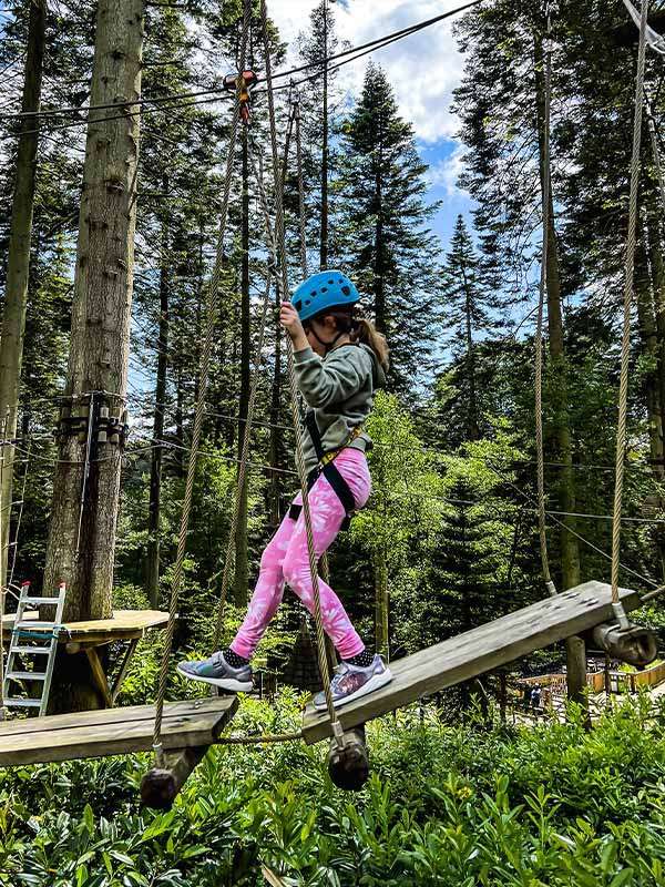 Child with blue helmet and harness balances, stepping across suspended wooden planks while gripping ropes; surrounding context: high-ropes course platforms, ladder, dense pine forest, leafy understory, and partly cloudy sky.