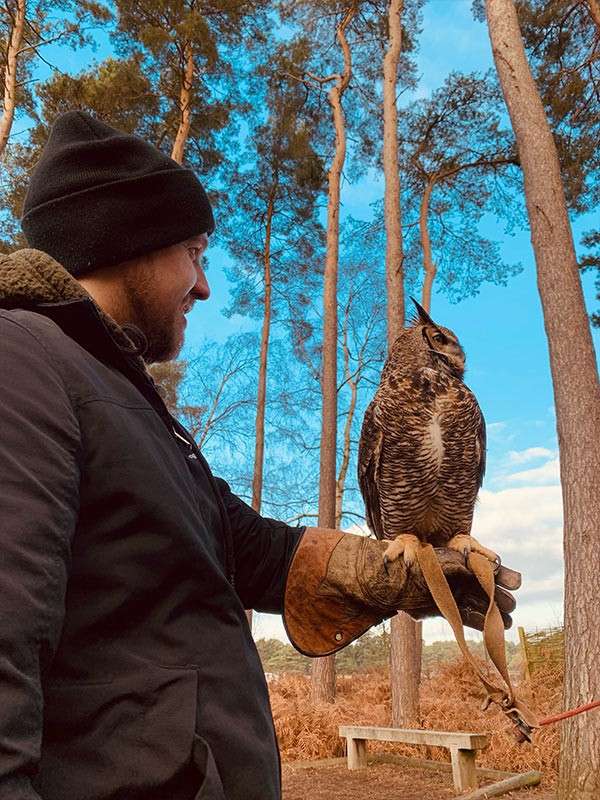 Owl perches on a falconry glove, tethered by jesses, while a person watches; set in a pine forest with blue sky, light clouds, and a wooden bench in the background.