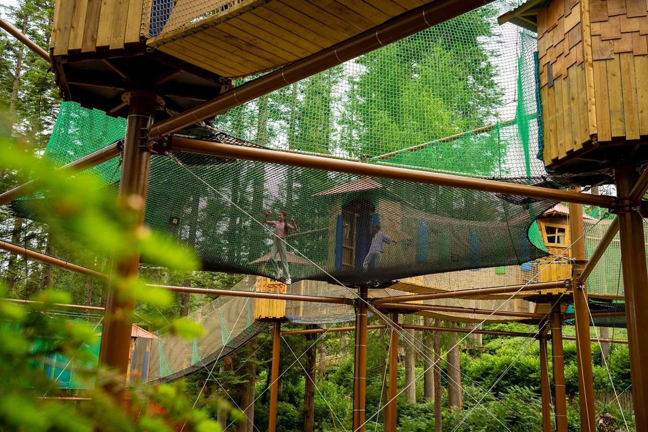 Adventure Nets course suspended in the trees.