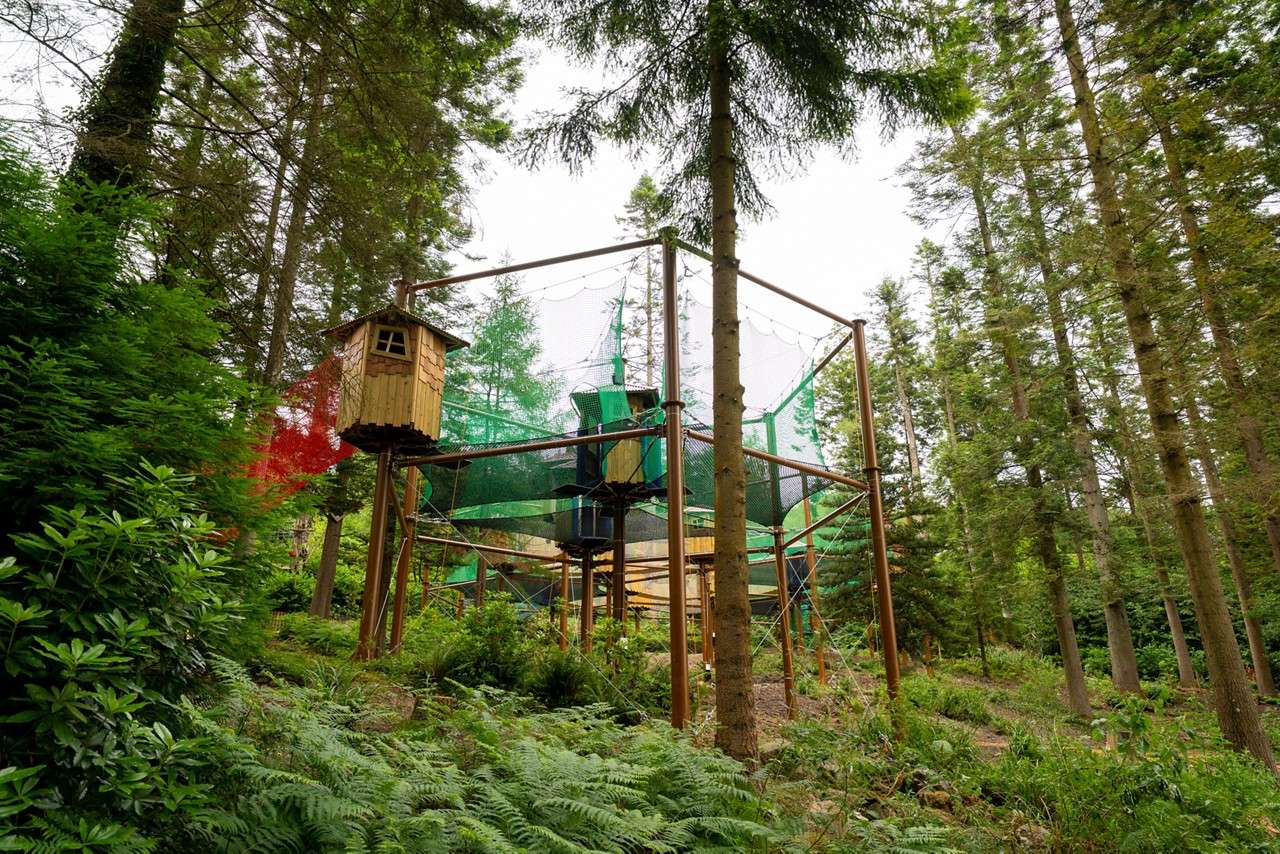 Adventure Nets course suspended in the trees.