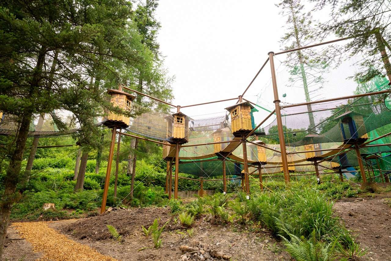 Adventure Nets course suspended in the trees.