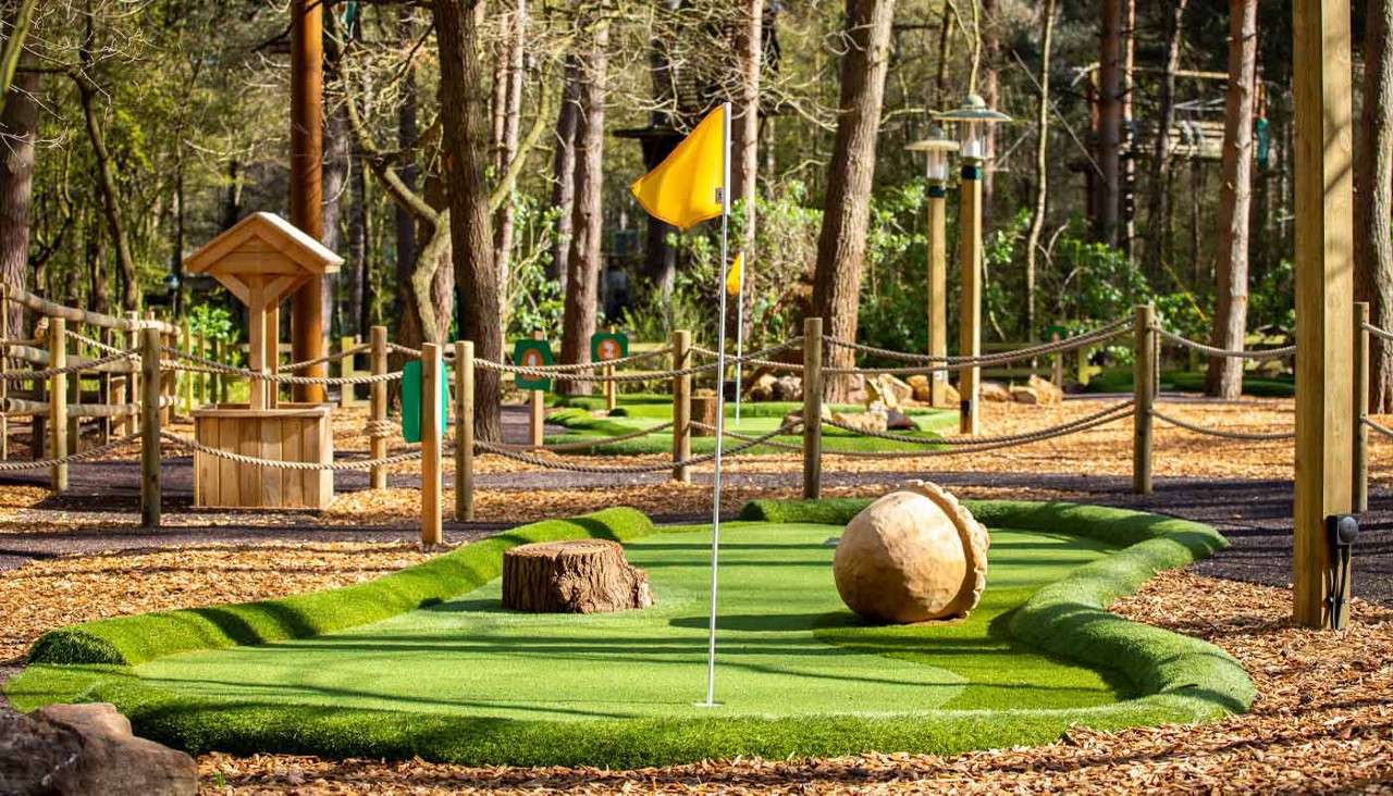 Mini-golf hole stands with flag marking cup; obstacles include a tree-stump and large acorn ball resting on turf. Forest-themed course surrounded by rope fences, wood-chip paths, and tall trees.