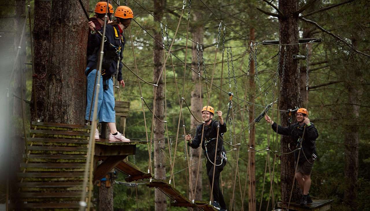 Four people wearing helmets navigate a treetop ropes course; one crosses suspended planks while three stand clipped to platforms, surrounded by tall pine trees in a forest.