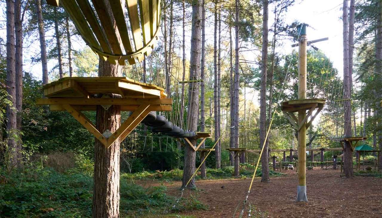 Rope-course platforms hang from trees, supporting suspended bridges, tires, and cables, enabling climbing routes; in a pine forest setting with tall trunks, dappled light, and ground covered in brown needles.