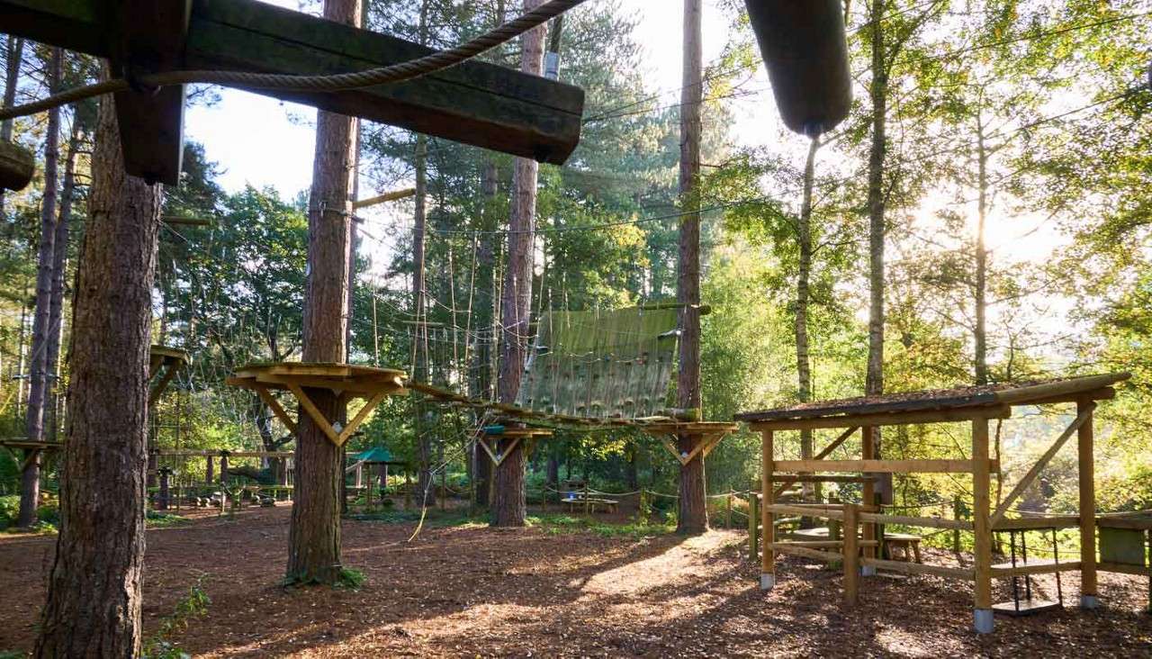 Ropes-course platforms suspended between tall pine trees, connected by nets, ropes, and wooden bridges, awaiting climbers; sunlit forest setting with woodchip ground and a shelter on the right.