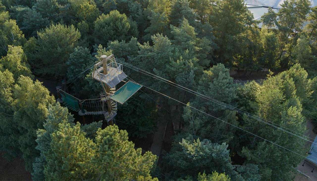 Zipline tower stands with spiral stairs and platforms, cables stretching outward; rope bridges and green safety nets hang nearby, set amid dense evergreen forest, suggesting an elevated adventure park course.