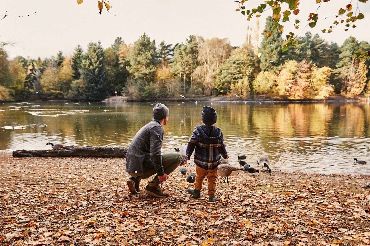 Adult and child observe ducks and geese, standing on a leaf-covered lakeshore; calm lake reflects autumn trees, with logs and scattered birds near the water under soft daylight.