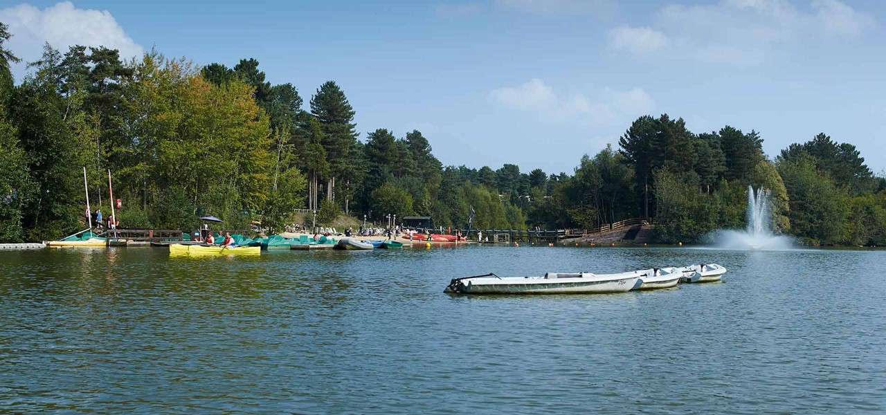 Rowboats drift and moor on calm water, while kayakers paddle near a dock. Surroundings: tree-lined lakeshore with people, a footbridge, and a tall fountain under blue sky.
