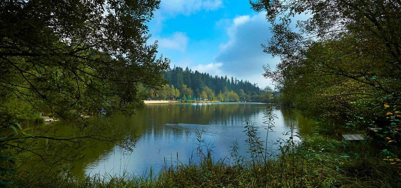 Calm lake reflects blue sky and trees, sending gentle ripples outward. Framed by overhanging branches and reeds, it sits before a forested shoreline with buoys and a small sandy beach.