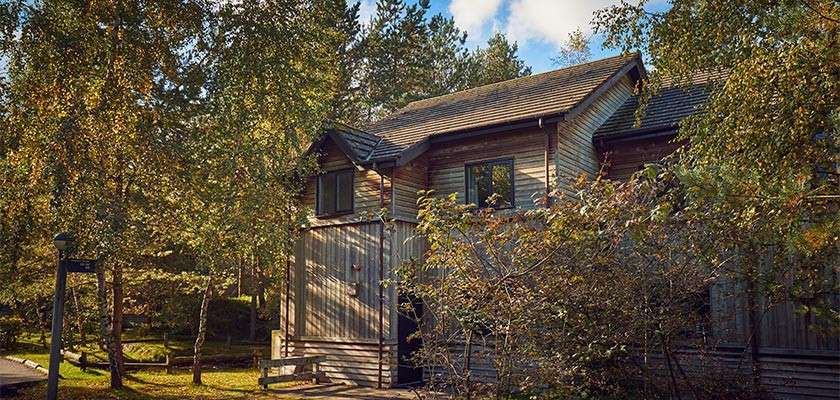 Wooden two-story cabin sits under tall trees, sunlight filtering through leaves. Surroundings include a narrow path, lamp post, bench, and dense foliage, suggesting a secluded forest retreat.