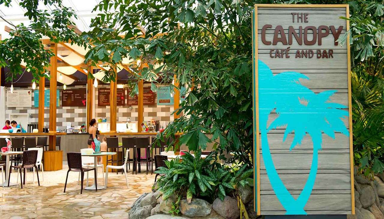 Sign stands; diners order at a counter and sit at tables, surrounded by lush plants in an indoor café-bar setting.
Text: THE CANOPY CAFÉ AND BAR