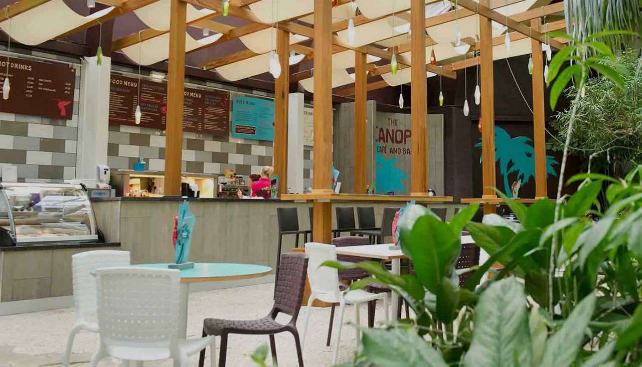 Cafe counter serves customers; staff prepare drinks behind wooden beams and hanging lights; tables and chairs occupy foreground amid lush indoor plants. Visible text: HOT DRINKS; FOOD MENU; THE CANOPY CAFE AND BAR.