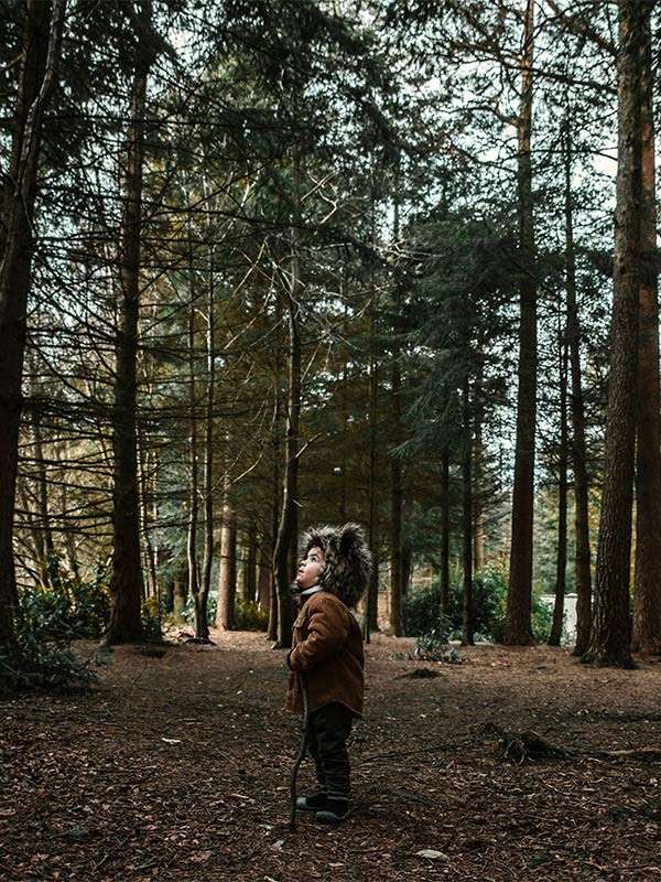 Child in a fur-hooded coat stands holding a stick, looking upward, surrounded by tall conifer trees in a forest clearing with leaf-littered ground.