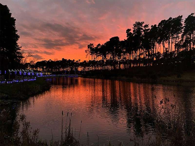 Lake surface reflects fiery orange sunset, rippling gently. Silhouetted tall pine trees line the far shore, while a path with small blue lights traces the left bank under a clouded sky.
