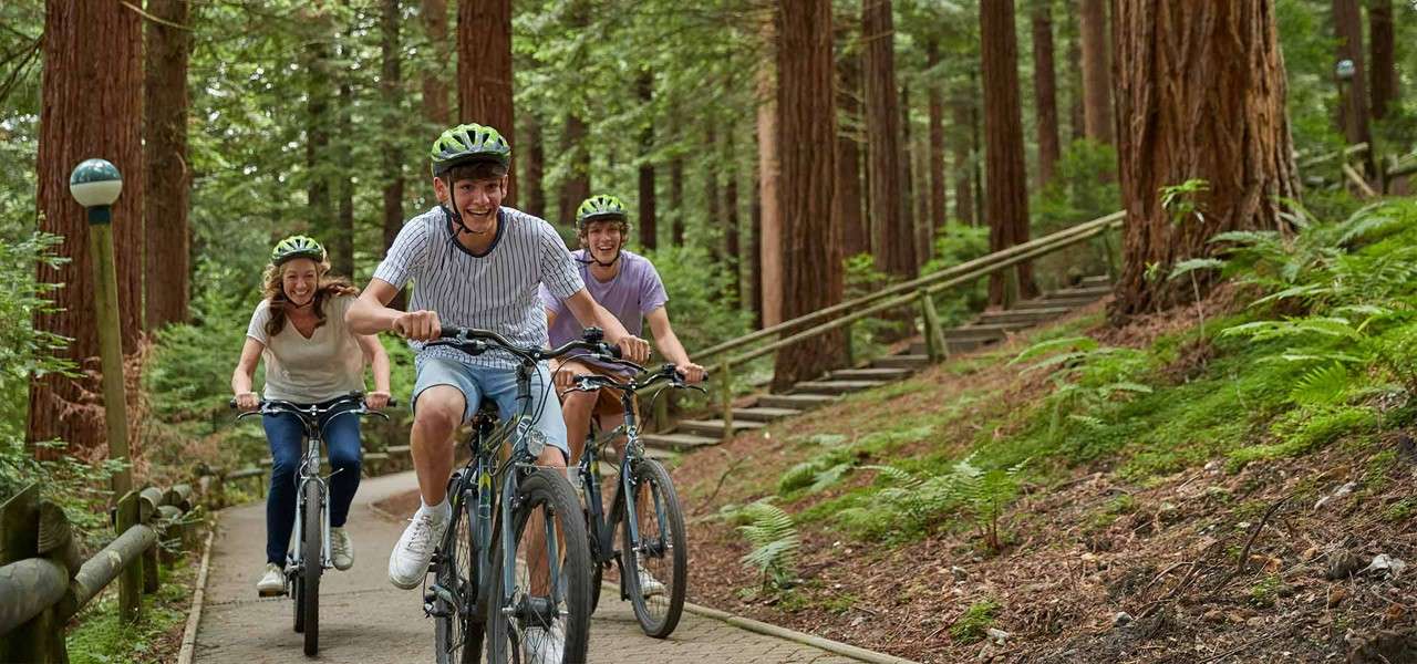 Teenagers cycling through the forest