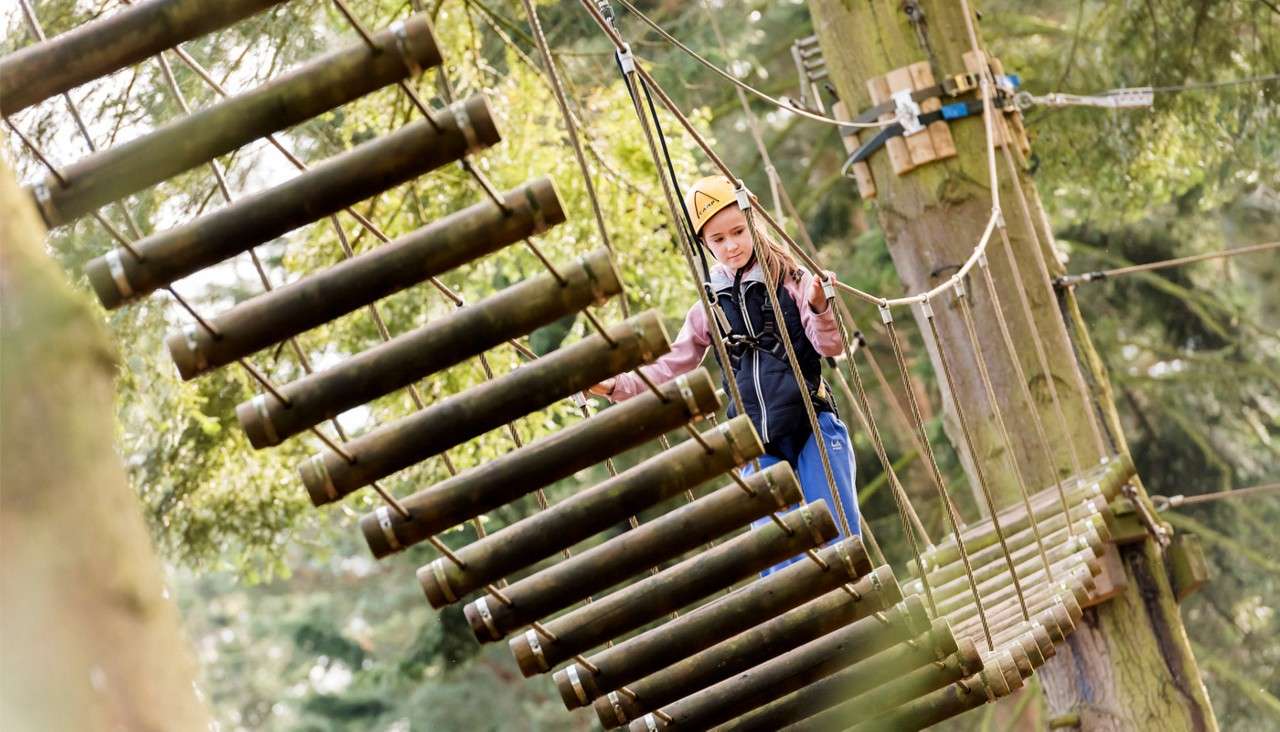 A helmeted child crosses a suspended log bridge, gripping ropes, while clipped to a safety harness, amid tall trees in a forest adventure course.