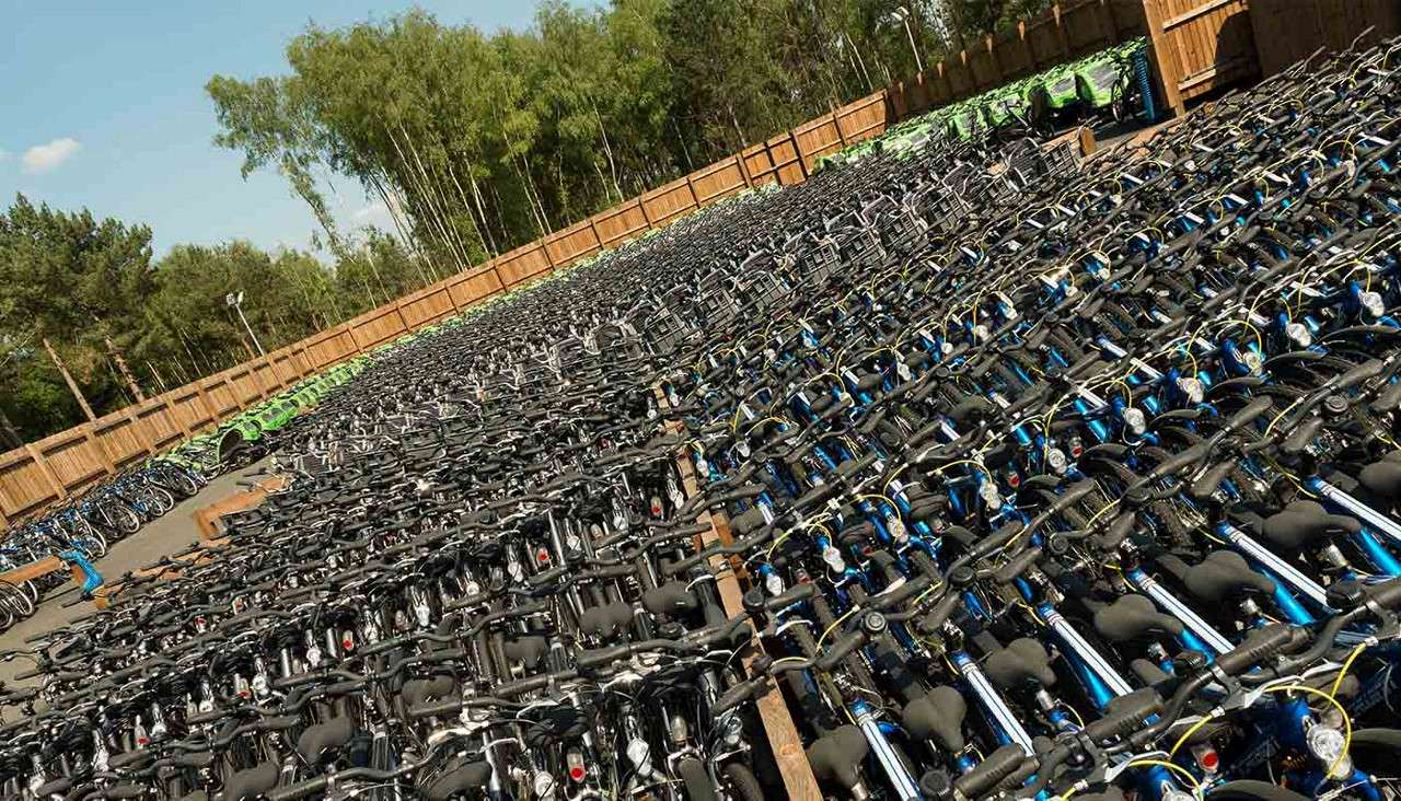 Rows of bicycles sit tightly parked, handlebars aligned, in a fenced outdoor lot. Surrounding trees and clear sky frame the mass storage area.