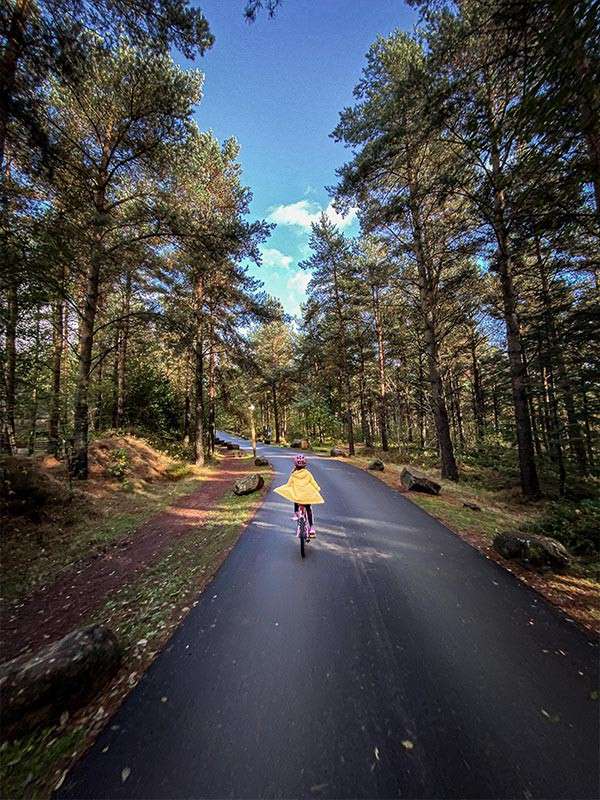 Child rides a bicycle wearing a yellow cape on a winding paved road through a pine forest, with scattered boulders, dappled sunlight, and blue sky.