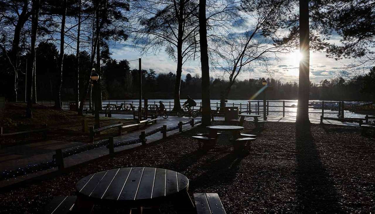 Cyclists ride along a lakeside path, while picnic tables sit under tall trees casting long shadows, near a wooden fence and calm water at sunset.