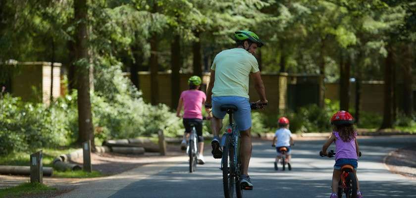 A group of cyclists ride forward, wearing helmets, along a paved path. Two adults and two children pedal under trees in a park, with wooden barriers and greenery lining route.
