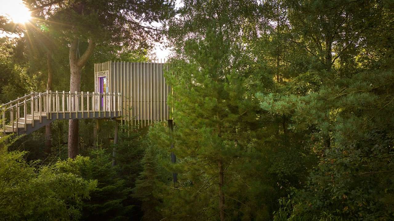 Treehouse stands elevated, accessed by a wooden staircase and walkway, amid dense green forest. Sunlight filters through tall trees, highlighting a small cabin with a purple door.