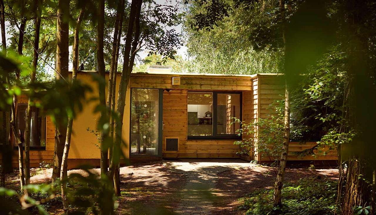 Wooden cabin sits quietly, framed by slender trees; large windows and a glass door face a shaded brick path, dappled sunlight filtering through dense forest foliage.