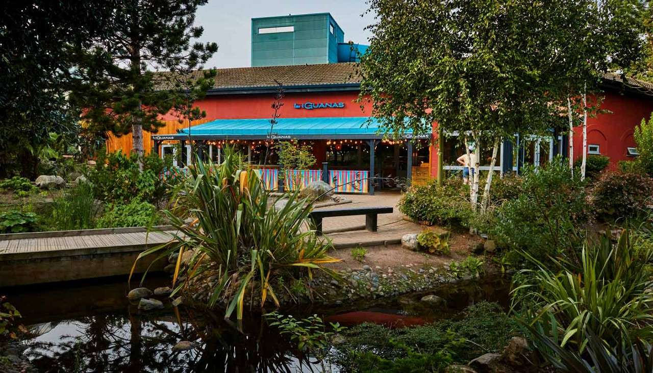 Restaurant facade displays “las IGUANAS,” “LAS IGUANAS,” “LAS IGUANAS,” “LAS IGUANAS”; patio glows under a blue awning, while a wooden footbridge and a small rock-lined pond sit in a lush garden foreground.