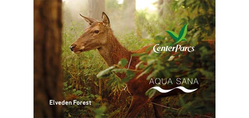 Deer stands alert, gazing left amid sunlit, leafy forest undergrowth; overlaid text: CenterParcs, AQUA SANA, Elveden Forest.