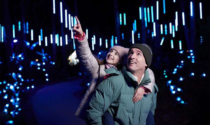 Man carrying a child on his back watches as she points upward, smiling, amid a nighttime light display; blue vertical LEDs glow among trees along a curving path.
