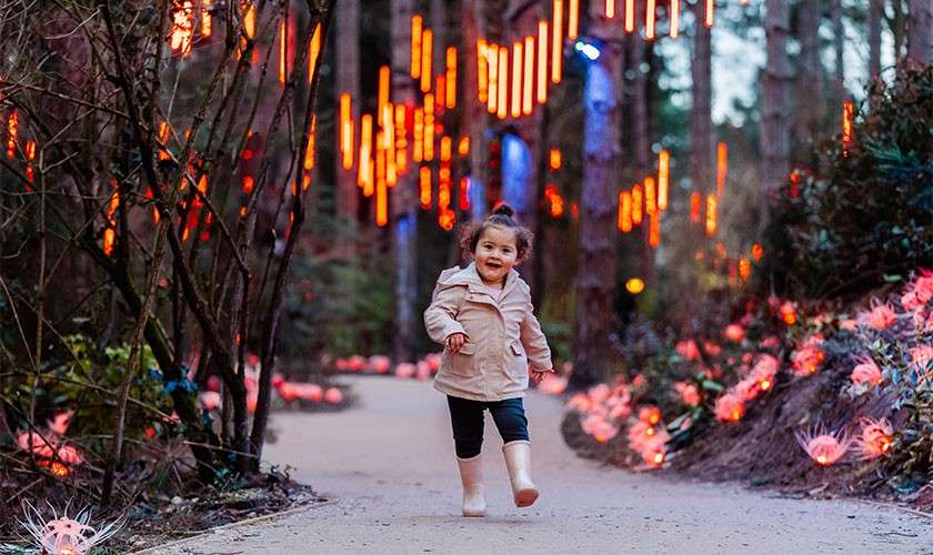 Child runs toward camera, smiling, on a forest path. Glowing orange light installations hang from trees and line the walkway, creating a festive, dusk-lit atmosphere among tall woods.