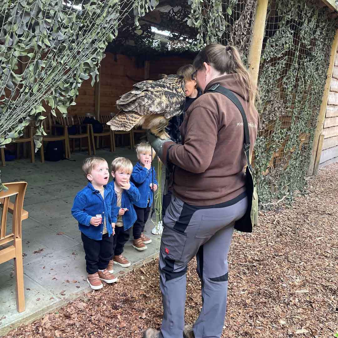 Large owl perches on a handler’s gloved arm, facing three small children watching closely. Scene occurs inside a rustic, netted aviary with wooden walls, chairs, and leaf-camouflage drapes.