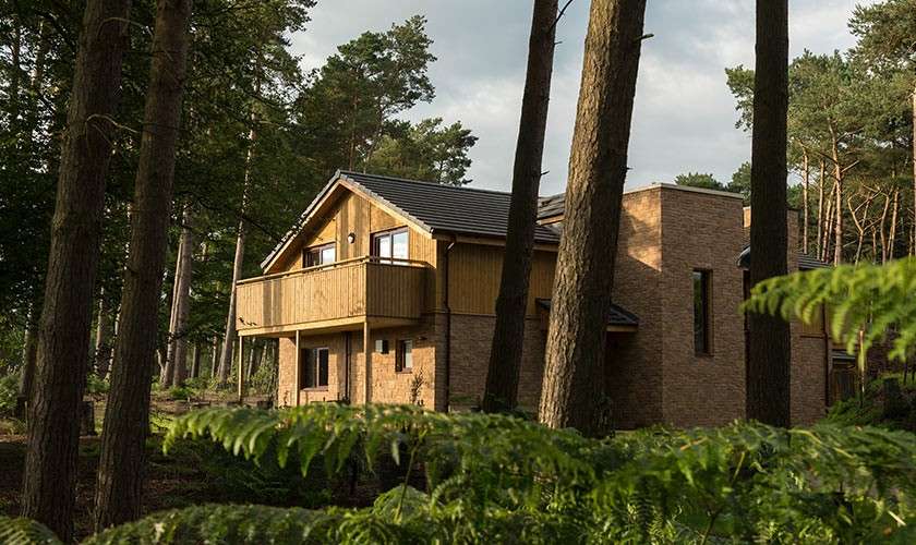 Two-story house with brick walls and wooden balcony stands quietly among tall pine trees; sunlight filters through, ferns in foreground, creating a secluded woodland setting.