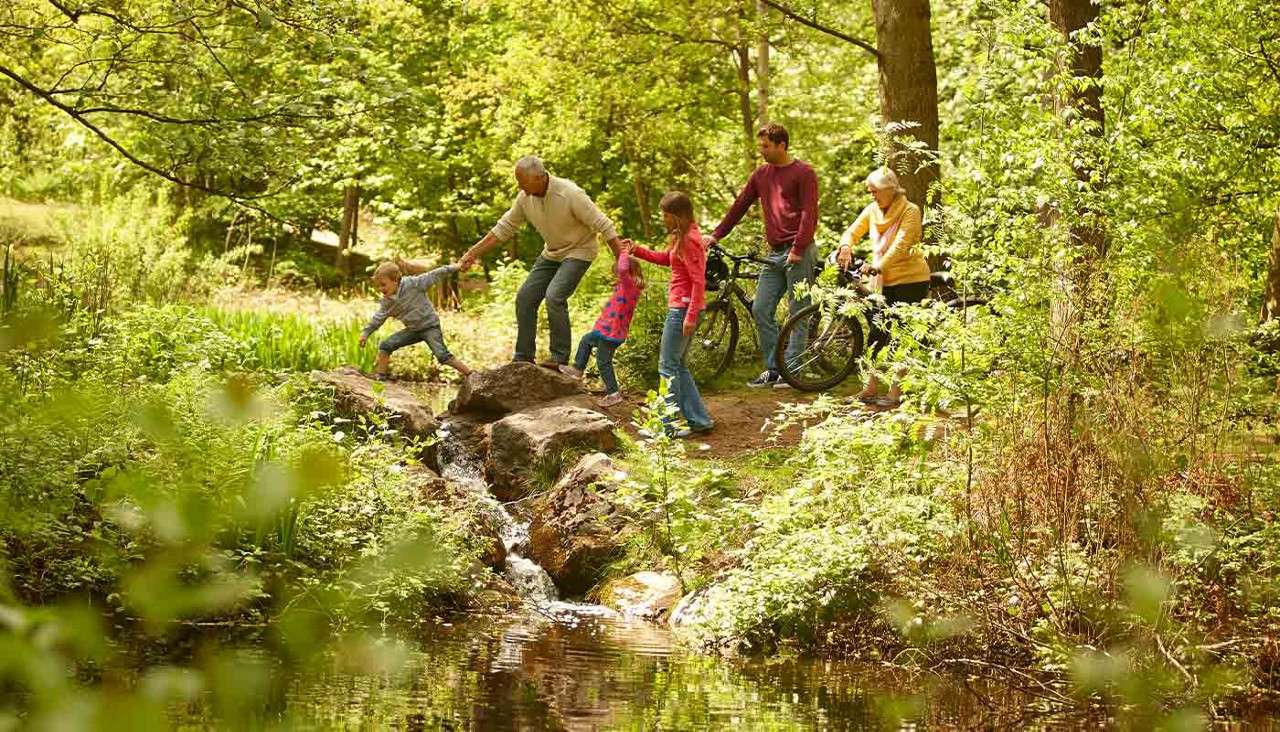 Family group assists children stepping across rocks in a shallow stream, adults holding hands. Bicycles rest nearby as they pause on a dirt path in a sunlit, leafy forest.